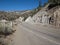 Empty Road Cutting Through Frazier Park National Forest California