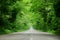 Empty road through the forest