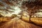 Empty road going through rural landscape under sunset sky