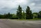 An empty road intersection and trees growing along it in a gloomy cloudy day