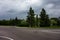 An empty road intersection and trees growing along it in a gloomy cloudy day