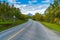 Empty road on Kvaloya island, Norway