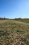 empty road in the middle of the steppe on an autumn day