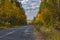 Empty road through mixed forest at autumnal seaso