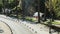 Empty road and palm trees in summer in Greece, travel and sightseeing