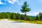 Empty road in Rhodope mountains pine forest Bulgaria