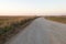 Empty road of sand in the steppe dried grass greenery bushes nature reserve summer evening