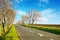 Empty road scenery with a blue horizont