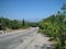 Empty road in the southern hilly-mountainous area on a hot summer day