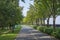 Empty road, street lamps, wooden fence and green trees. Ukraine