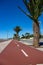 Empty road to beach with palms. Health path along seacoast. Empty street with palm trees.