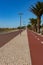 Empty road to beach with palms. Health path along seacoast. Empty street with palm trees.