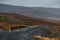 Empty Road and Walking Sheep in Iceland. Wild Nature.