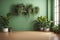 Empty room with plants on a wooden floor