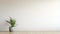 Empty Room With Potted Plant And White Walls - Minimalist Design