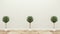 Empty room,three plants,tropical modern empty room. 3D rendering