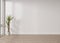 Empty room, white wall and parquet floor. Indoor plant. Mock up interior. Free, copy space for your furniture, picture