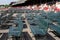 Empty rows of benches, early morning at the Saratoga Racetrack,Saratoga New York,2014