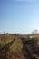 An empty rural road through a field of withered autumn grass. Dirty road, track