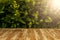 Empty rustic wood table top on blurred basil background in the g