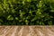 Empty rustic wood table top on blurred basil background in the g