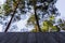 Empty rustic wood table top on blurred treetops background and s