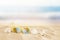 Empty sand beach, seashells and sunglasses in front of summer sea background with copy space