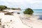 Empty sandy beach of Mozambique island, mangroves and remains of a colonial house, Indian ocean. Nampula. Portuguese East Africa.