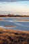 empty sea beach in autumn with lonely trees and rocks in sands