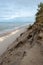 empty sea beach in autumn with lonely trees and rocks in sands