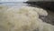 Empty sea beach with waves foam in winter