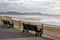 Empty Seats At Lyme Regis Seafront