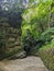 Empty Shakadang Trail takes a turn at a huge rock covered by tree canopy in a mist during the pandemic before 403