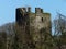 Empty Shell of a castle tower Ireland surrounded by tree branches