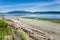 Empty Shingle Beach with Driftwood on a Clear Summer Day