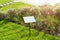 Empty sign board on grass with space for caption. Property house for sale sign board. Notice board with copyspace for prohibition