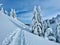 Empty ski touring trail runs past spruce trees covered in fresh powder snow.