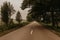 Empty smooth asphalt road with markings. green green trees stand around grow.