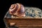 Empty snail shells on an old book. Mollusk shell on the cover of the book