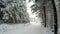 Empty snow covered road in the mountains during winter time with trees on the sides.