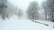 Empty snow covered road in the mountains during winter time with trees on the sides.