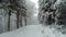 Empty snow covered road in the mountains during winter time with trees on the sides.