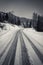 Empty snowcapped road with car tracks in dramatic black and white foggy landscape mountain range in dolomites in wintertime, giau