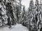 The empty snowy path of the Bowen Island Lookout trail, on Cypress Mountain outside of Vancouver, British Columbia, Canada