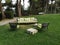 Empty sofas and armchairs in the garden