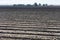Empty soil lines on an agricultural field in early spring. Plowed dirt rows on countryside farmland prepared for seeding and