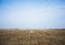 Empty soya field after harvest