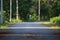 The empty space on the concrete road on both sides was a forest of trees.