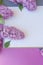 Empty space notepad list with lilac bunch of flowers, cute spring vertical banner
