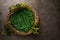 Empty space in a vine wreath with ivy branches, a blank for an idea